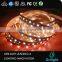  express 5050 rgb and ww pw cct dimming 5 color in one led strip