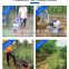 Garden cultivator bangladesh power tiller walking tractor with gearbox