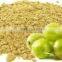 Superior quality Bhumi Amla powder at your door step