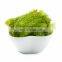 High Quality Fresh Sea Grapes Origin Vietnam/ Sea Grapes Seaweed