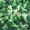 High Quality IQF Frozen Broccoli Vegetable