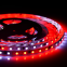 Economical Addressable WS2811/UCS1903IC Led Flexible Strip Light DC12V Led SMD Strip For Multiple Color