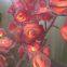 Plastic Rose Flowers LED Tree Table Lamps 24Led Rose Table Gift for Girls Woman Home Decor Battery Powered decorative flowers