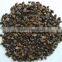 BUCKWHEAT