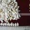 Factory Supplying Snow White Pumpkin Seeds in Shell