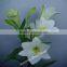 Kunming Qingyi fresh cut flowers multicolor oriental hybrid lily blooming lily