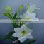 Supply high quality fresh cut oriental white lily with fast delivery