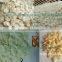 Rice Flakes Making Machine