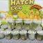 Hatching poultry egg Growing toys