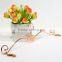 Golden /rose gold metal lingerie underwear hanger with clips