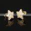 World Best Selling Products Fashion Star Zirconia Earring