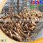 fruit and vegetable cleaning equipment cassava peeling and washing machine/cassava peeler machine