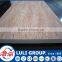 Good Price Bintangor Commercial Plywood