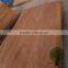 Burckella Veneer Similar With Keruing Wood Veneer Plywood 0.3mm Linyi Manufacture