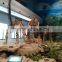 Outdoor Playground Museum Equipment Dinosaur Skeleton For Sale