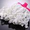 Magic Cleanroom microfiber mop