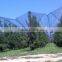 Leno anti hail net for orchard with shade value 12% , 30202-65 mesh size8.5x2.9mm