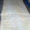NATURAL BASSWOOD ROTARY CUT VENEER