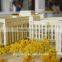1/200 University Technology Building Scale Model