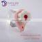 Hot Sale New Design Handheld Facial Cleaning Brush Cleanser