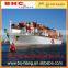 balance car by sea freight from ningbo to new zealand--skype: vincentchinabohang