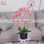 Factory Direct Cheap Real Touch Indoor Potted Pink Butterfly Orchid Flower Artificial Plants