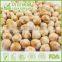 Chickpeas Supplier High Proteins and Amino Acid Nutritious Healthy Snack Wasabi Chickpeas