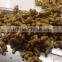 China Fresh Ginger With Competitive Price