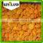 2015Chinese apricot dried for sale
