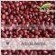 High Quality Adzuki Beans For Red Bean Paste