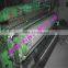 zoo wire netting mesh welded wire mesh