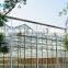 BaoLiDa large multi span tempered glass greenhose hot-dip galvanized steel tube structure mushroom greenhouse