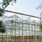 Venlo Type Glass Greenhouse For Tomatoes