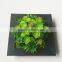 wholesale ornamental plants small plastic succulent plant bonsai