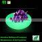 led waterproof dry fruit plate illuminated fruit plate led lighting