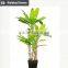 Pot plant banana tree for sales artificial banana tree