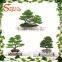 New products bonsai pine tree price artificial japanese artificial bonsai tree