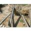 Belt conveyor