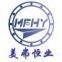 Tianjin Mefhoyew Bearing Co.,Ltd