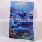 Fashinal High Quality Professional 3D Lenticular a4 cardboard file folder With Low Price