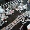 Rotary Hot Pot Conveyor Chain Manufacturer