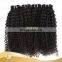 Grade 7A High Quality Virgin Brazilian Hair Kinky Curl virgin Hairs