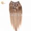 Hottest products on the market 100g 120g 160g 220g remy human hair extensions clip on
