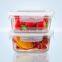 Square Borosilicate Glass Food Container Lunch Box