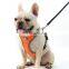 Pet dog leash chest strap explosion-proof chest back Amazon new pet supplies wholesale