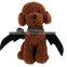 Hot New Pet Clothes Fashion Black Bat Wings Cat Dog Cosplay Costumes