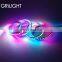 Sk6812 RGB RGBW Waterproof color changing led christmas lights led pixel ws2811 12mm ws2812 ws2812b 144 led pixel