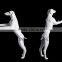 hot sale white window display dog mannequin