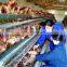 Anti rust Africa poultry farm used chicken egg layer cage for sale