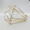 Tonghua Vintage Iron Electroplate Gold Cage Lamp Shade for Retro Edison/LED Bulb Used indoor Decoration Light